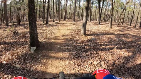 Logging Road Trail, Pinnacle Mountain State Park, Monument Trail Series