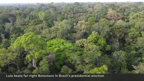 Lula wins Brazil’s presidential election, ousting incumbent Bolsonaro