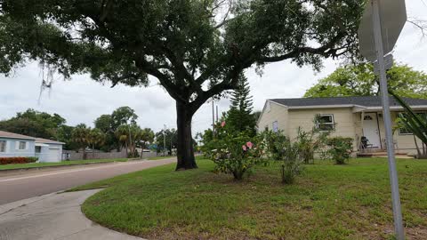 (00362) Part Seventeen (P) - Saint Petersburg, Florida. Driving the Hood!