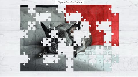 French Bulldog Jigsaw Puzzle Online