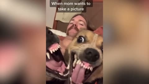 Animal funny 😁 videos kid 🤣 Entertainment Don't Try Laughing 🤣