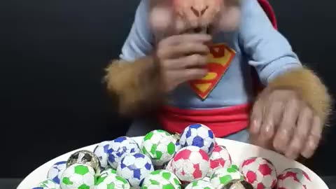 Adorable Baby Monkey and Candy Plate