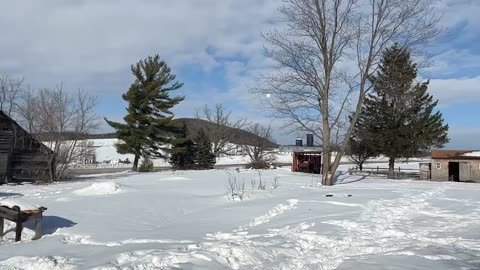 Snowball fights