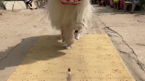 The female Lion Dancer is extremely beautiful and attractive