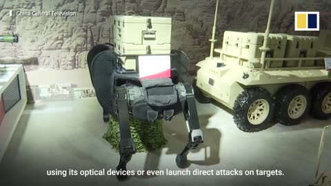 This Chinese-made robot dog is a combat specialist