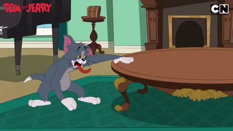 Tom and jerry cartoon