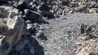 Central Oregon – Newberry Volcanic National Monument – Obsidian Clusters