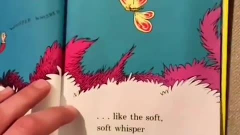 Man Raps Dr Seuss Book