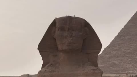 Amazing Egypt in HD video