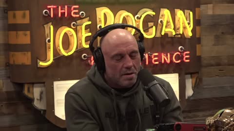 Joe Rogan LIFE & PROPERTY The DANGERS of Black Bear Overpopulation