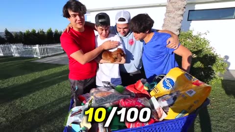 WOW!!! They adopted 100 pets and opened a free pet store