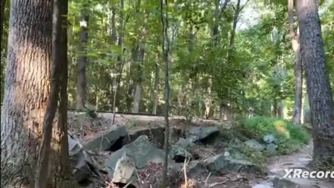 Hiking at stone mountain park