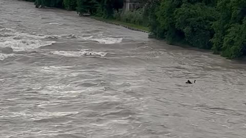 Catching A Giant River Wave