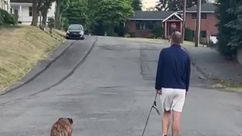 Neighbors come up to support beloved dogs final walk 🐶