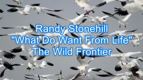 Randy Stonehill - What Do You Want From Life #307