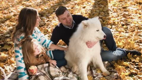 How to Teach a PUPPY to PLAY Without Biting