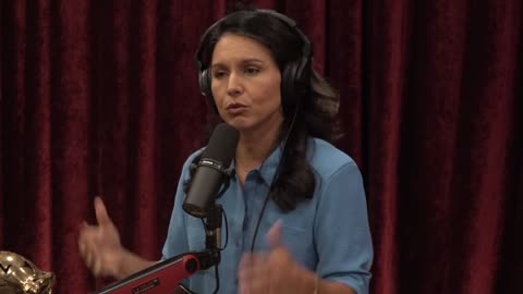 Tulsi on Rogan: The Democratic Party Leadership No Longer Believes in Truth