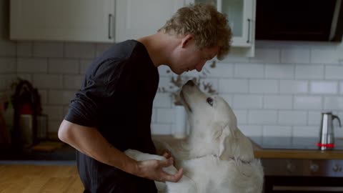 A Man Playing With His White Dog 2