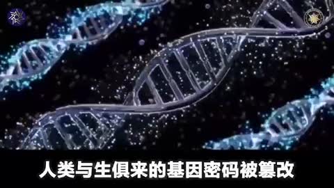 毒喵目的=消滅人口