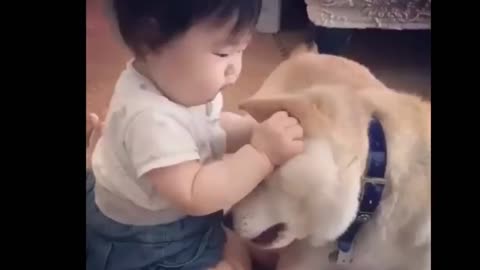 The Dog reaction to the baby for the frist time