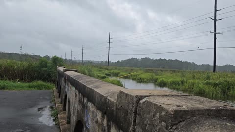 Childhood fishing hole