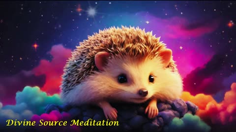 13. Hedgehog ★ Serenading Slumber ★ Peaceful Lullabies for Tranquil Nights ★ Bedtime Melodies ★