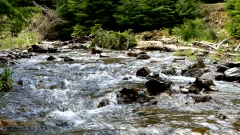 Snow Falling On River Stream