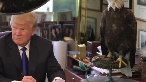 ICYMI: President Trump does a photo shoot with a Bald Eagle