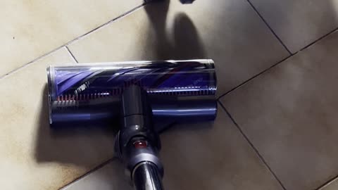 Cat Gets a Vacuum Scare