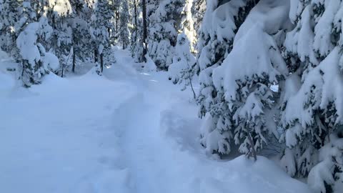 The First One to Visit – Best Early Season Mount Bachelor Area Sno-Park – Swampy Lakes