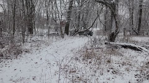 1959 CJ5 first winter ride in Michigan.