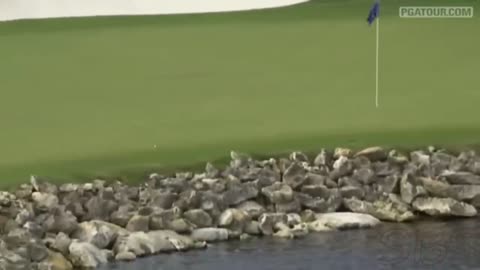 Luckiest Shots in Golf History