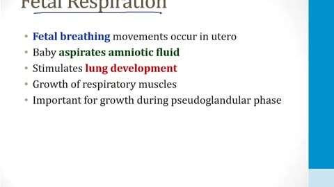 Pulmonary - 1. Embryology, Anatomy and Physiology - 1.Pulmonary Embryology