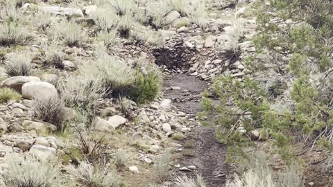 Flash Flood in Moab Takes Over Empty River Bed