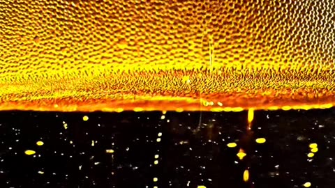 BEER : MICROSCOPIC LEVEL