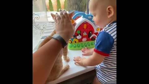 BABY child and baby cat playing video