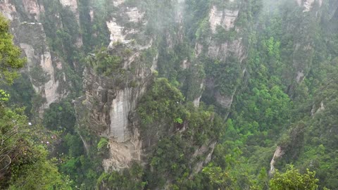 "Avatar" Mountain & Wulingyuan Scenic Area