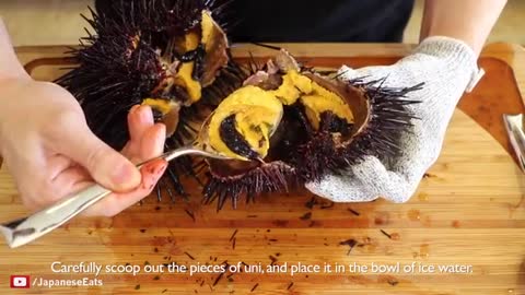 How to open and prepare LIVE Sea Urchin Uni_Cut