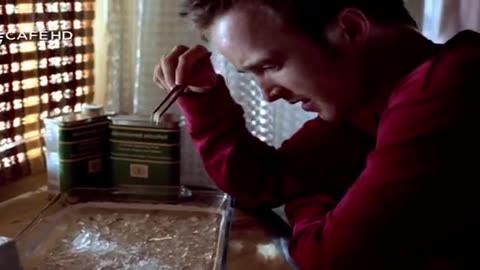 Breaking Bad 2008 Hindi Dubbed S01 E01