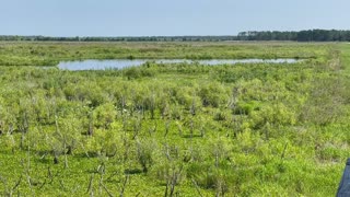 Hiking Sunnyhill Restoration Area in Marion County, Florida