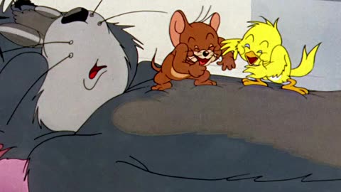 Tom and jerry new series part 2