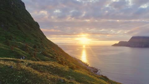 Flyover lush spring hillside toward sunset on sea