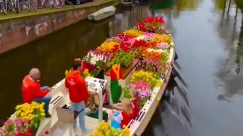 Enjoy a lively boat ride through the scenic canals of Amsterdam