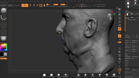 Zbrush fine to pore portrait 5