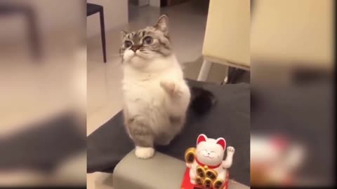 Funniest Cats 😹 - Don't try to hold back Laughter 😂 - Funny Cats Life part 3