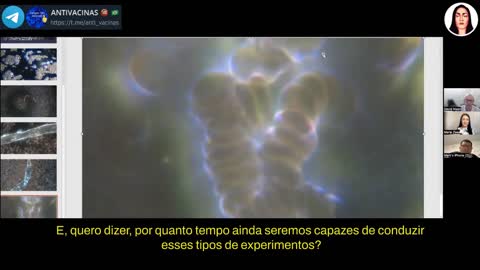 Dr David Nixon Mostra suas Descobertas Nanotecnológicas nas Vassassinas