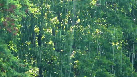 Heavy Rain Ambience for Sleeping ( 7 Hours )