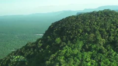 Amazing rainforest video