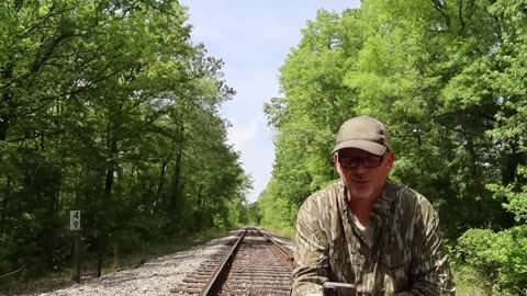 Deep South U S Swamps, Sounds And Crazy Owl Calls