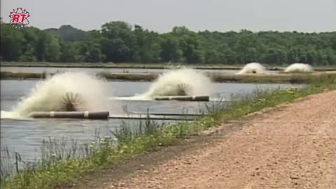 MODERN CATFISH FARMING IN AMERICA TECHNOLOGY OF LARGE SCALE PATIN FISH FARMING